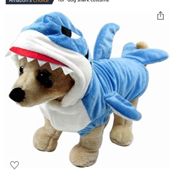 Other - Dog shark costume. This was my 9/10 lb Maltese for this year. A little big on